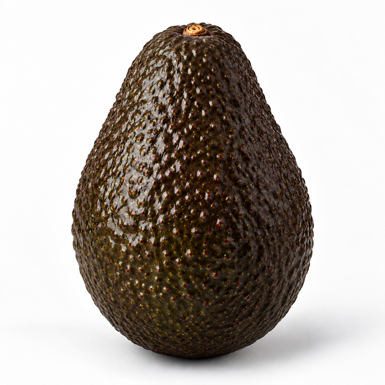 Zutano Avokado